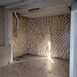 PXL_20250306_154913714