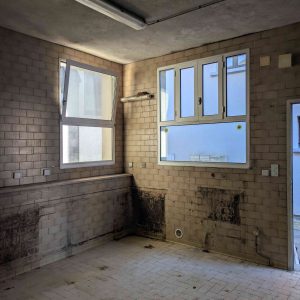 PXL_20250306_154938147